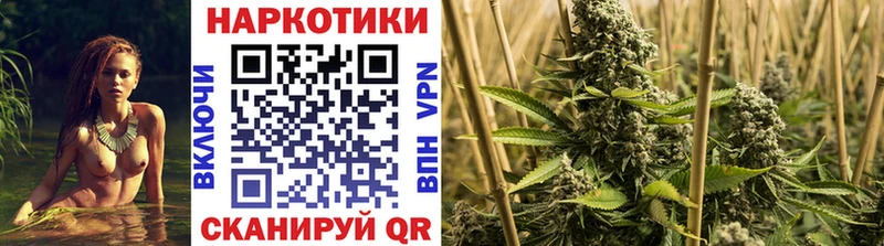 Где купить Краснообск Амфетамин Бошки Шишки ТГК Alpha PVP Гашиш COCAIN Меф мяу мяу