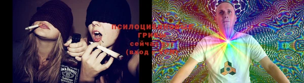 ешки Балабаново